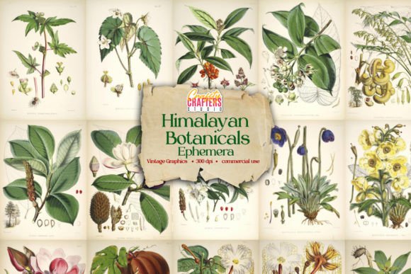 Download Himalayan Botanicals Vintage Ephemera - Premium Resources