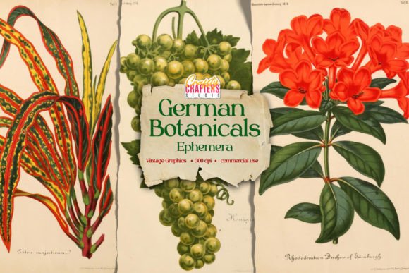 Download Vintage German Botanicals Ephemera - Premium Resources